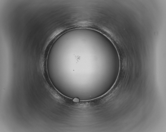 X0000113351410200909221134