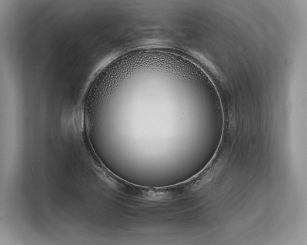 X0000113351413200909221134