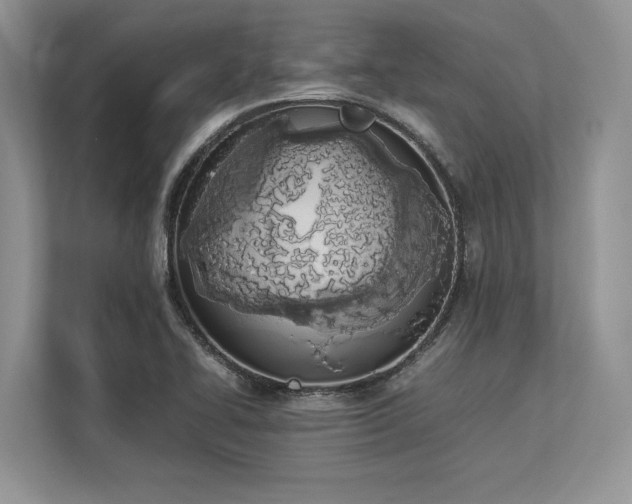 X0000113351414200909221134