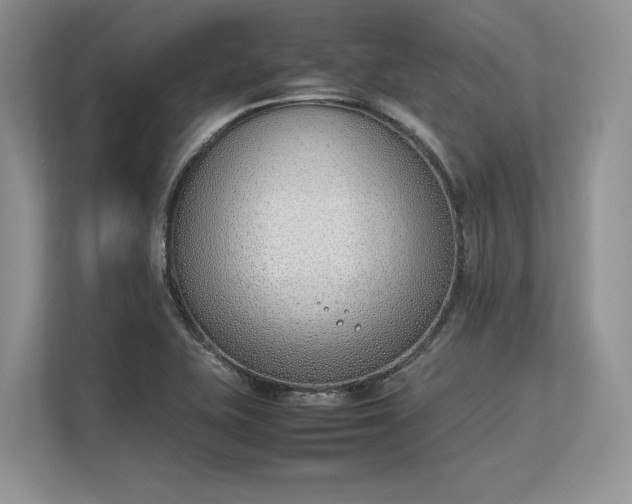 X0000113351415200909221134