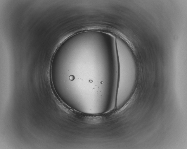 X0000113351417200909221134