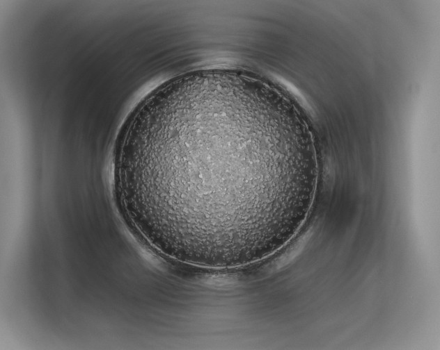 X0000113351418200909221134