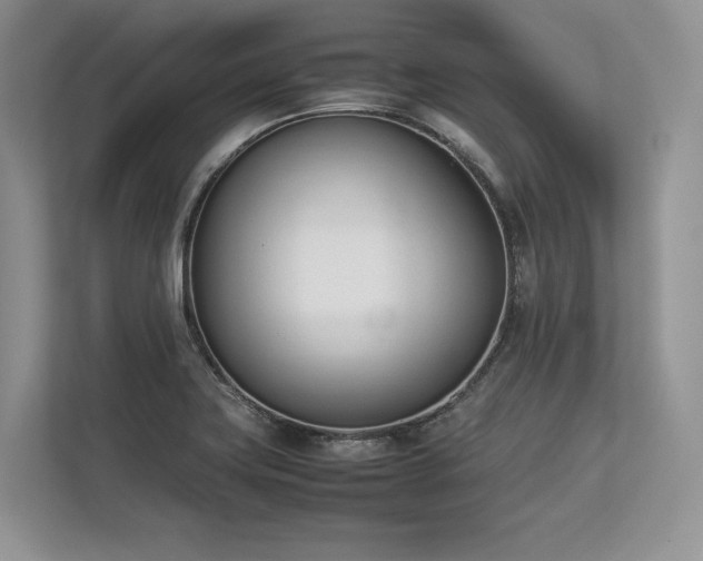 X0000113351419200909221134