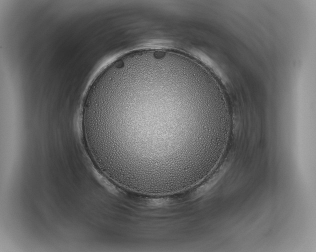 X0000113351421200909221135