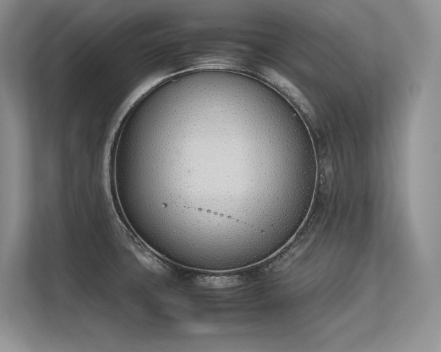 X0000113351427200909221135