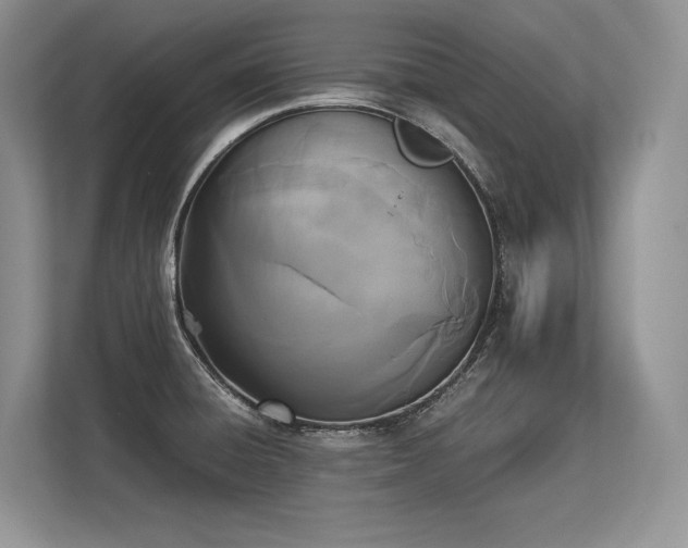 X0000113351428200909221135