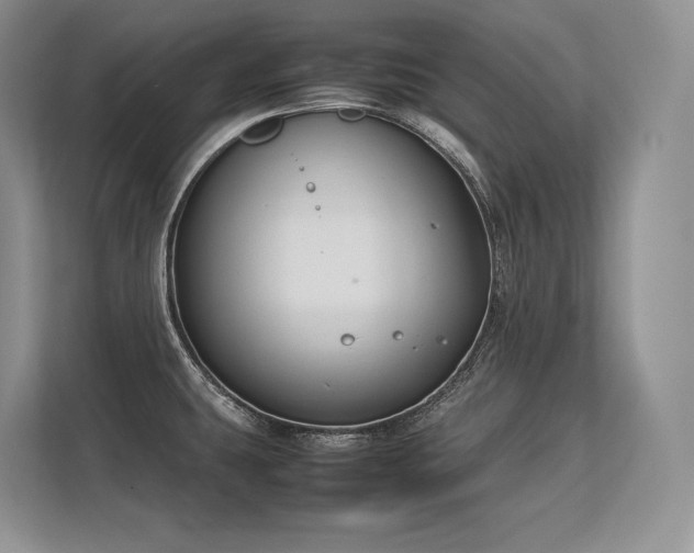 X0000113351431200909221135