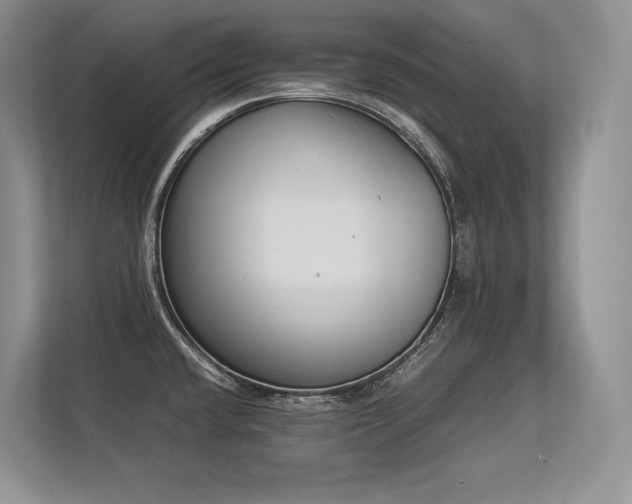 X0000113351432200909221135