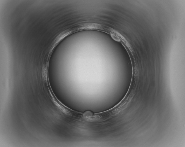 X0000113351433200909221135