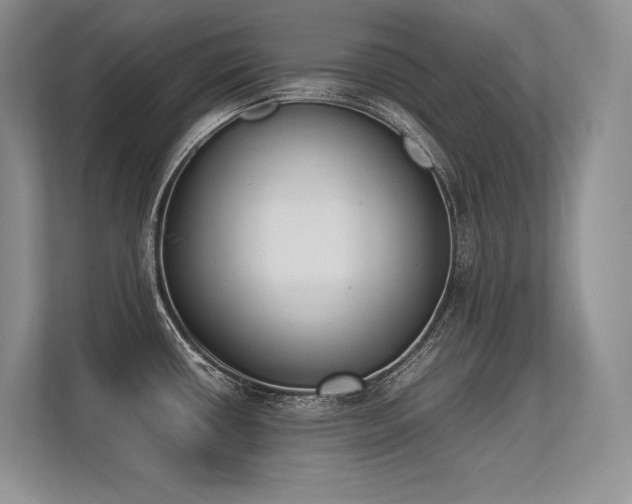 X0000113351434200909221135