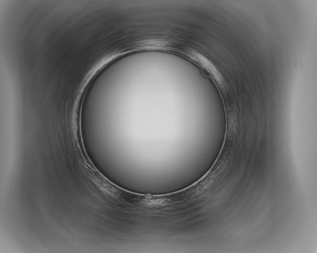 X0000113351435200909221135