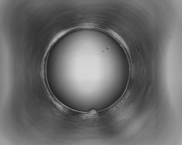 X0000113351437200909221135