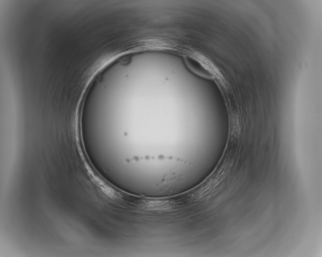 X0000113351439200909221135