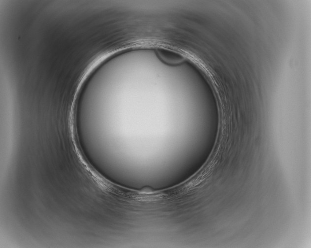 X0000113351440200909221135