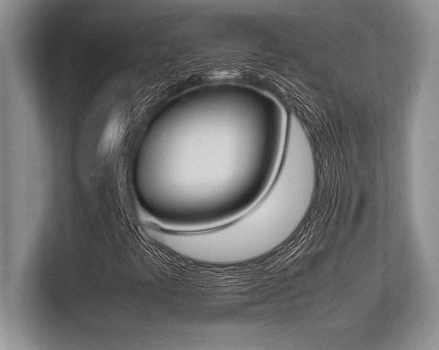 X0000113351441200909221134