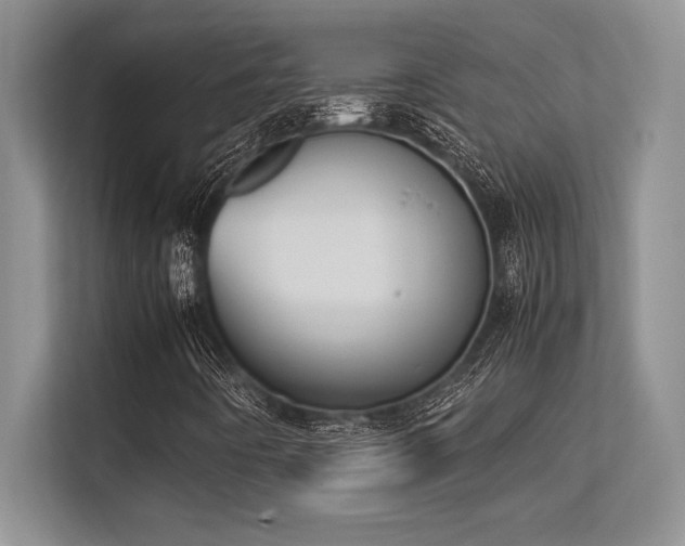 X0000113351442200909221134