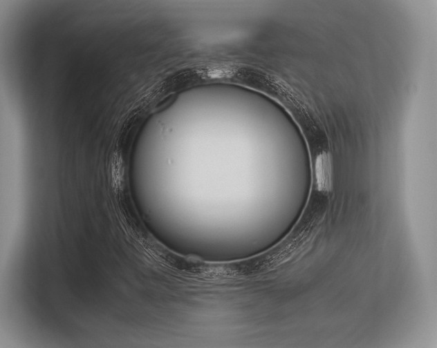 X0000113351443200909221134