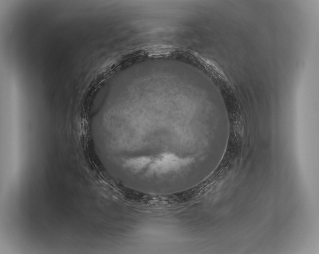X0000113351445200909221134
