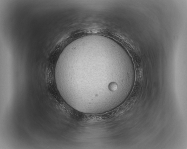 X0000113351446200909221134
