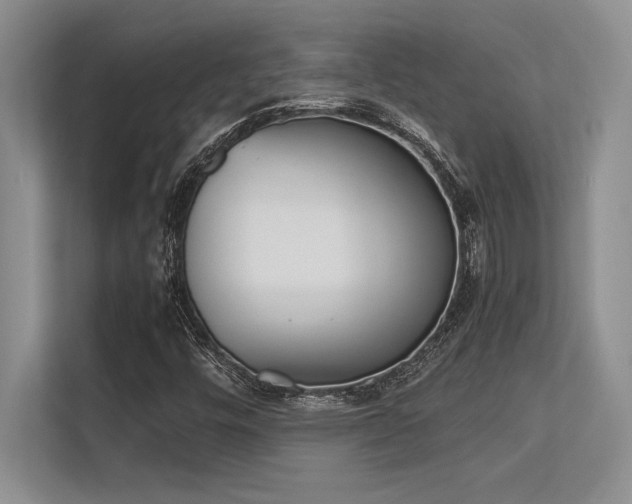 X0000113351448200909221134