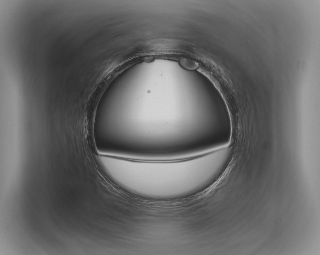 X0000113351449200909221134