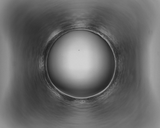 X0000113351450200909221134