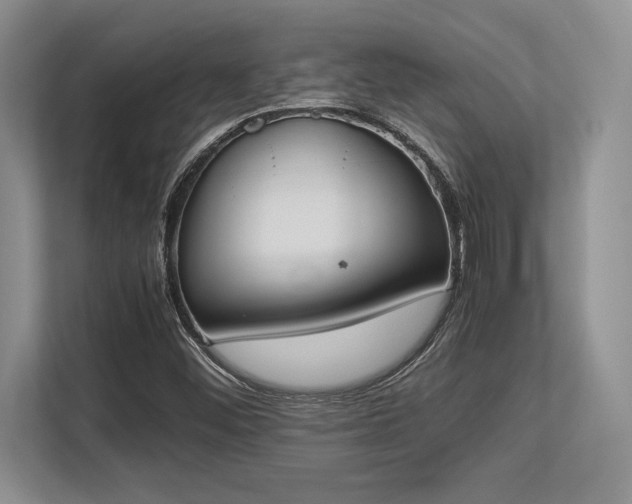 X0000113351452200909221134