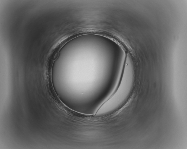 X0000113351453200909221134
