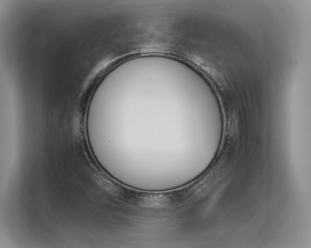 X0000113351454200909221134
