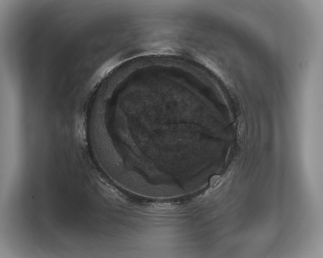 X0000113351455200909221134
