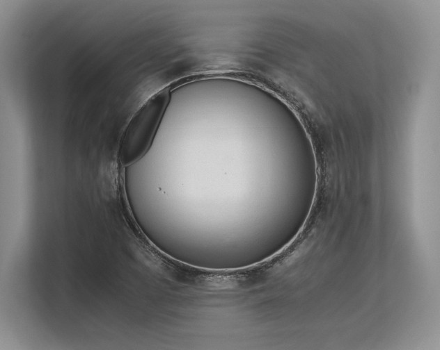 X0000113351457200909221134