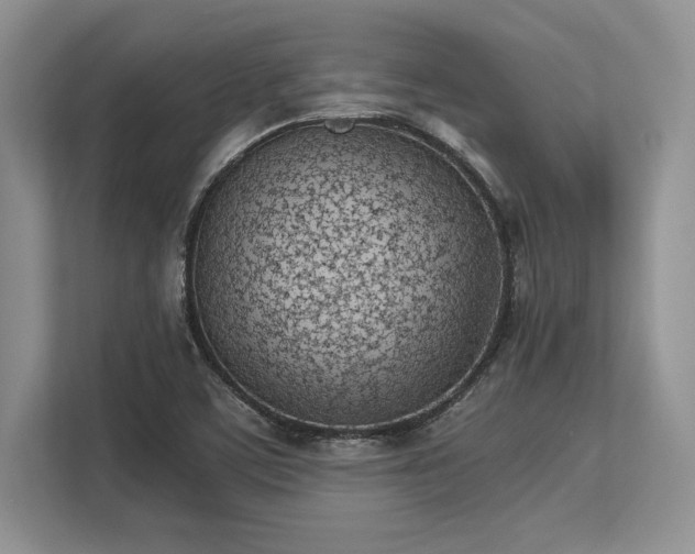X0000113351459200909221134