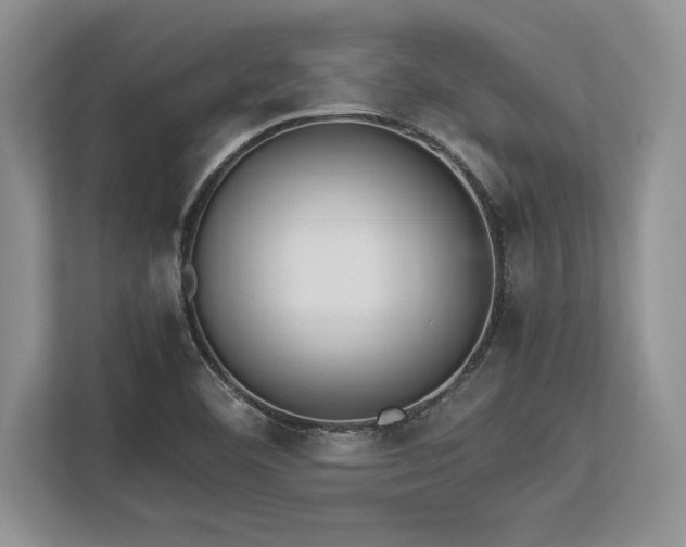 X0000113351460200909221134