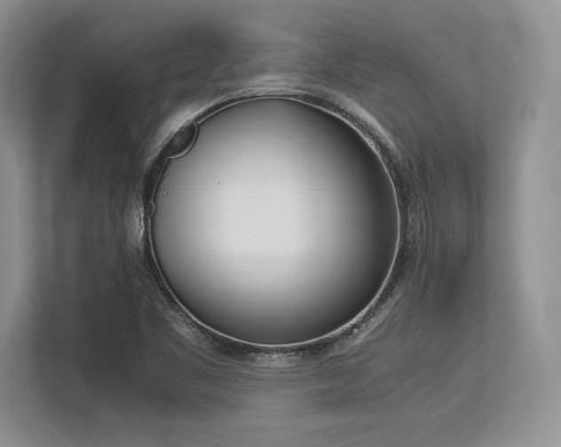 X0000113351461200909221134