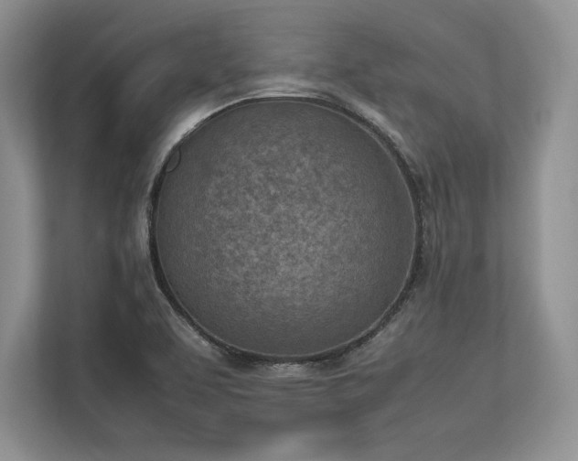 X0000113351463200909221134