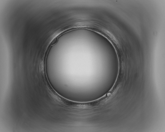 X0000113351465200909221134