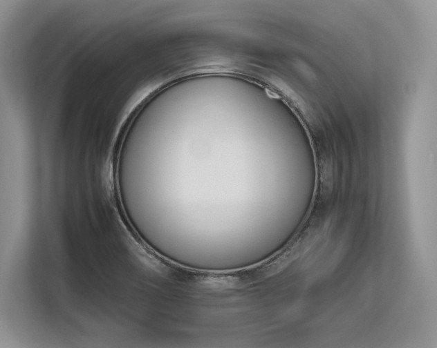 X0000113351466200909221134