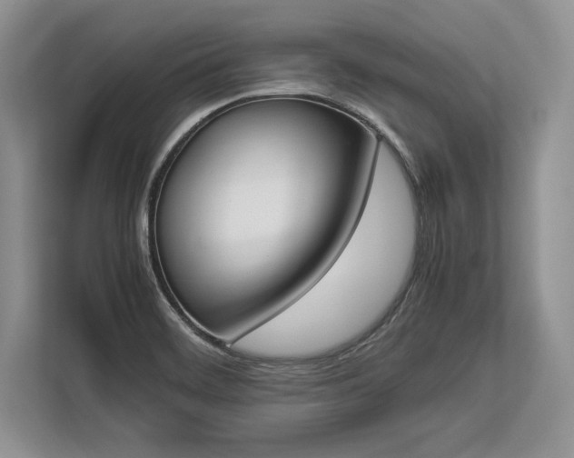 X0000113351468200909221134
