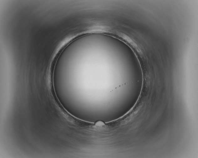 X0000113351469200909221134