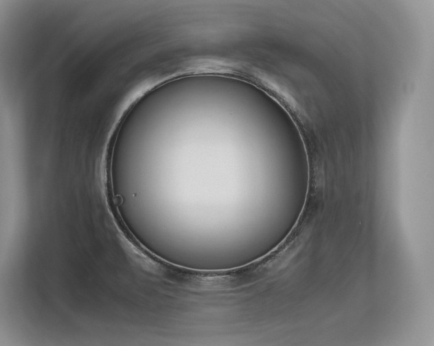 X0000113351471200909221134