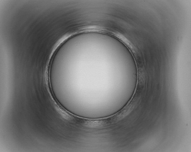 X0000113351474200909221134