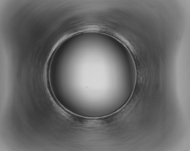 X0000113351475200909221134