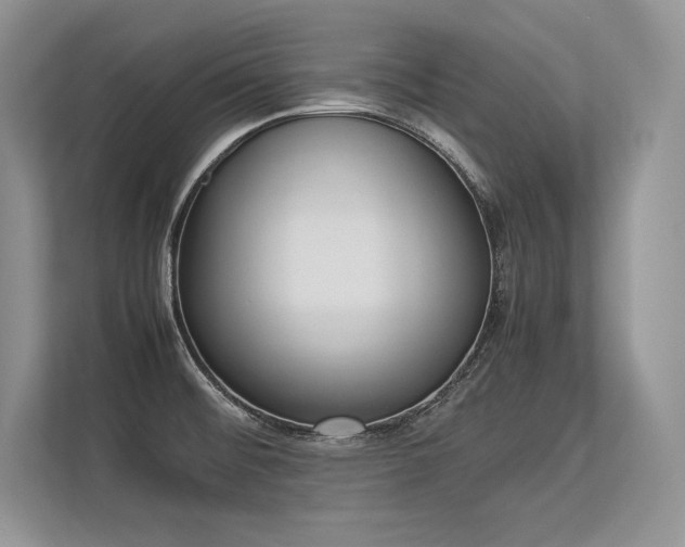 X0000113351476200909221134