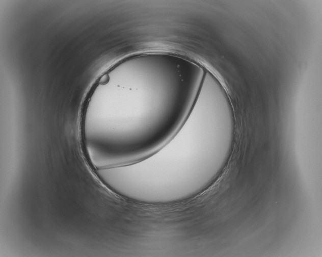 X0000113351477200909221134