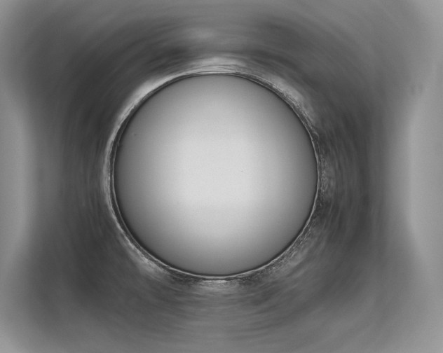 X0000113351478200909221134