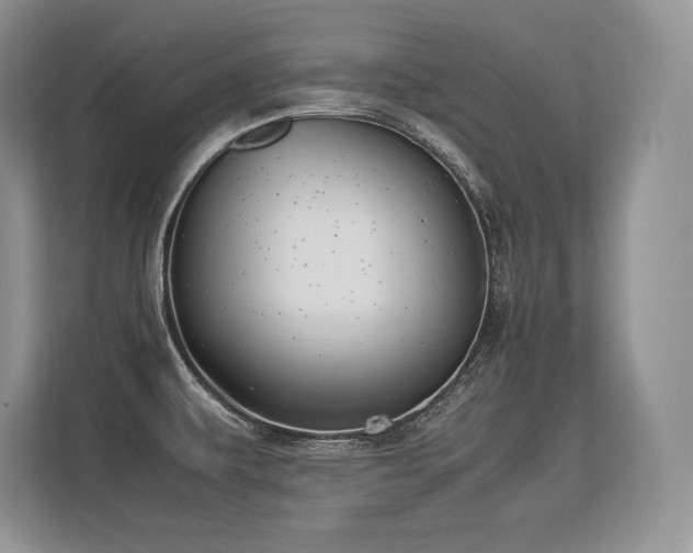 X0000113351479200909221134
