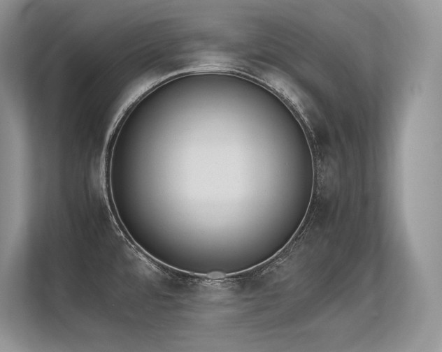 X0000113351480200909221134