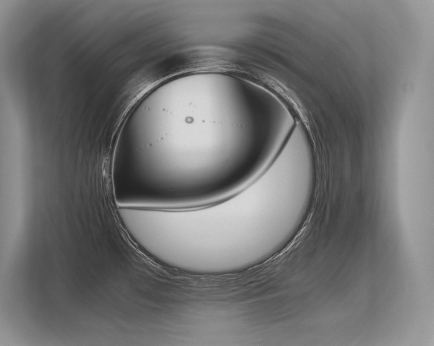 X0000113351481200909221134