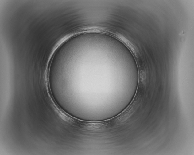 X0000113351482200909221134