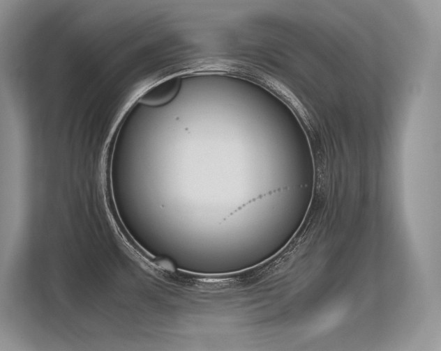 X0000113351483200909221134